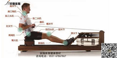 划船机和开云体育-开云（中国）
哪个锻炼更有效